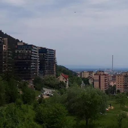 Tampa Gardens Apartment