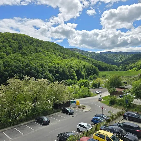 公寓 Tampa Gardens *