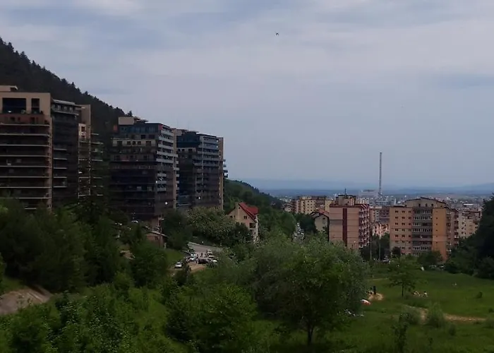 Tampa Gardens Apartment