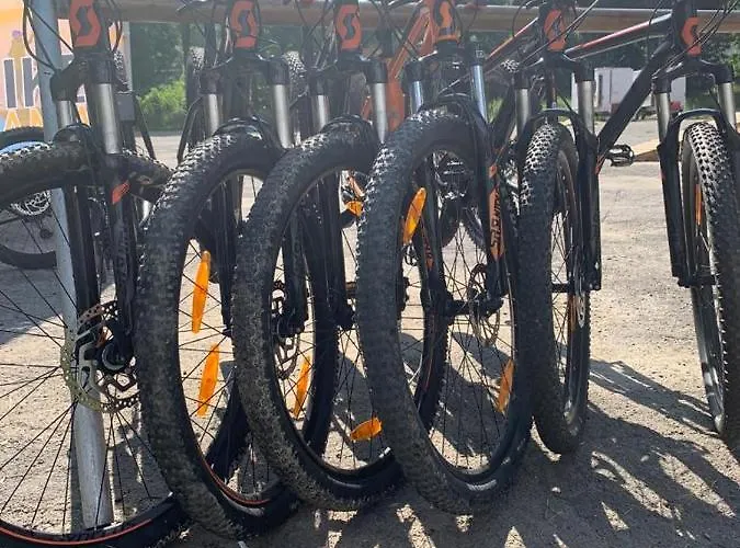 Tampa Gardens Διαμέρισμα Μπρασόβ