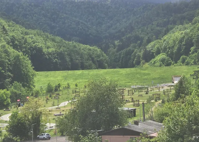 Tampa Gardens Διαμέρισμα Μπρασόβ