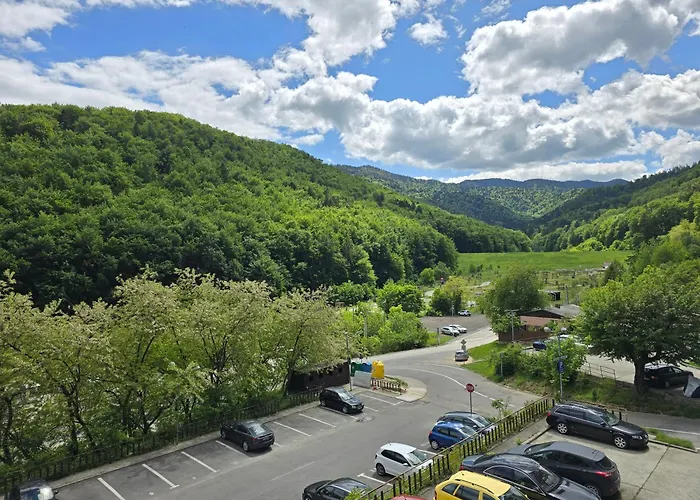 Apartment Tampa Gardens *